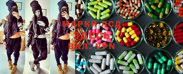 spice Алзамай